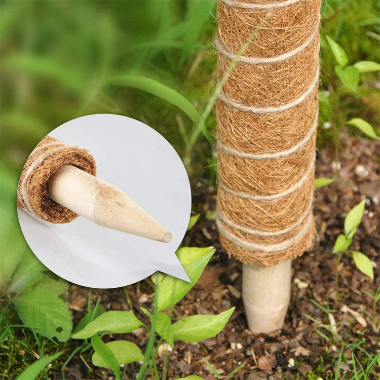 4Pcs 30cm Plant Climbing Rod Vine Climbing Coconut Palm Rod Plant Support Stick with Tools 4Pcs 30cm Plant Climbing Rod Vine Climbing Coconut Palm Rod Plant Support Stick with Tools